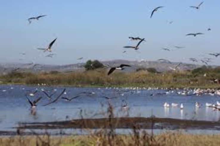 Rio Maipo Wetland Trip Packages