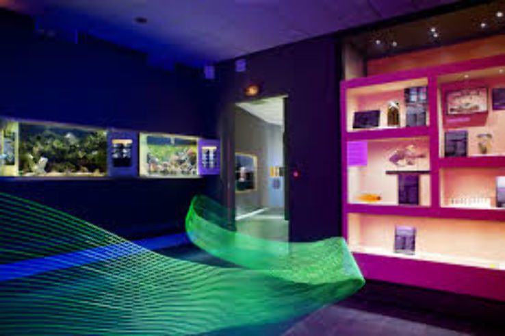 Nancy Museum-Aquarium Trip Packages