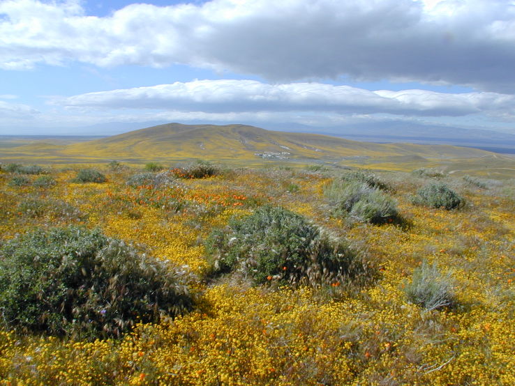 Antelope Community Park Trip Packages