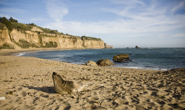 Greyhound Rock Beach Trip Packages