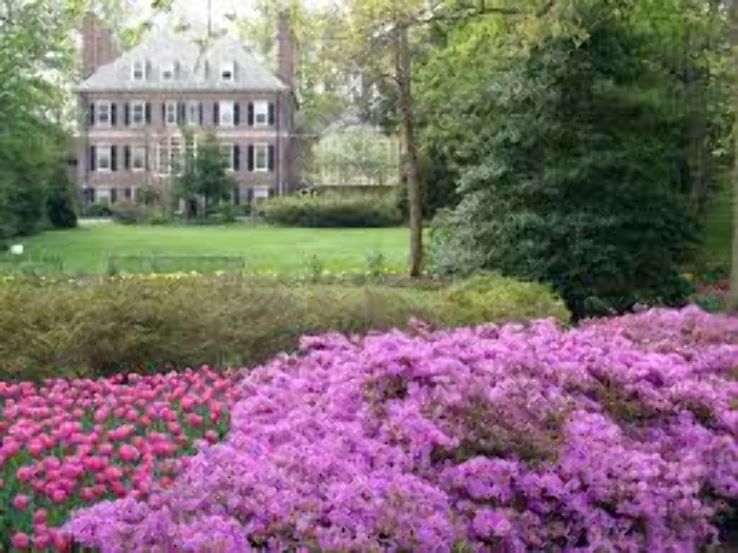 Sherwood Gardens Trip Packages