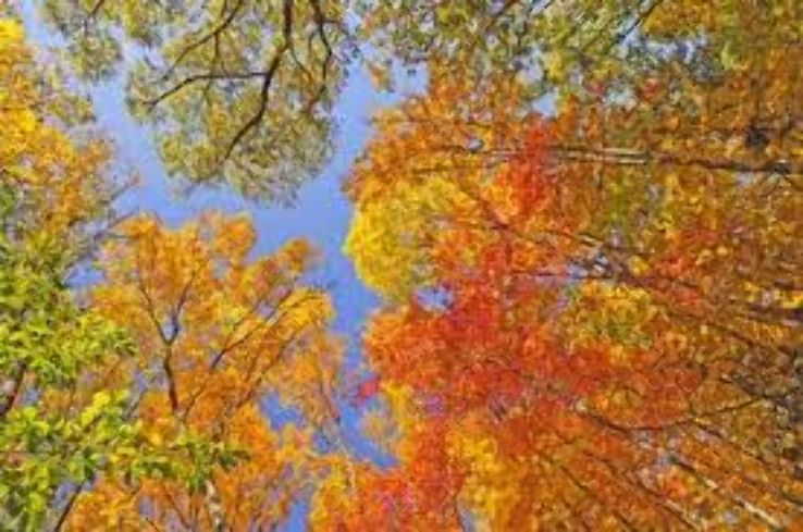 Old Lime Creek Road Trip Packages