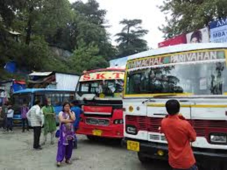 lakkar bazar Trip Packages lakkar bazar Trip Packages