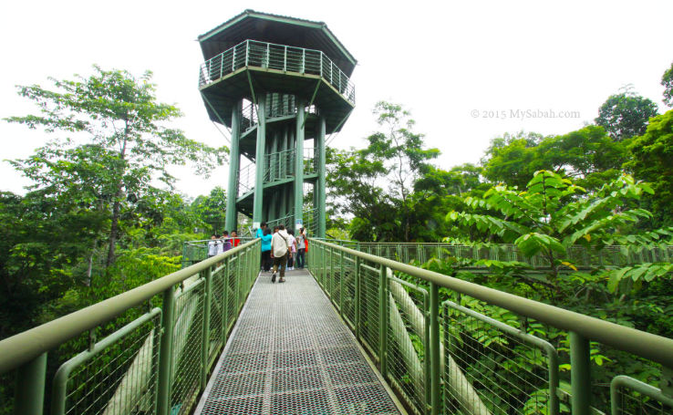 Sandakan Trip Packages