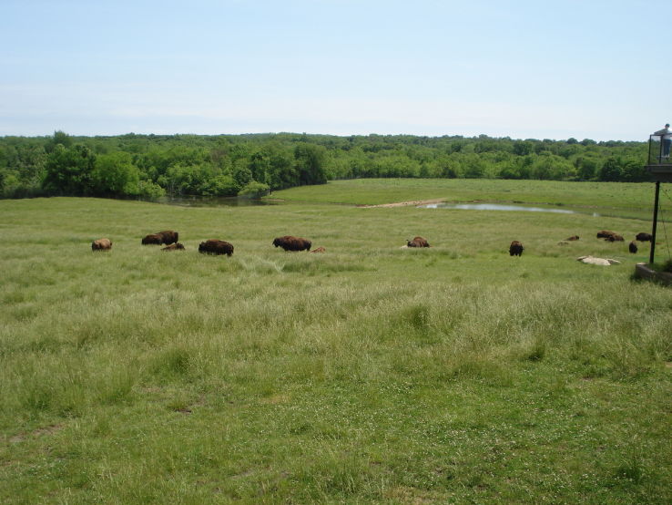 Hanna City Trip Packages