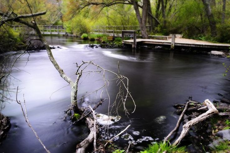 Bohemia Trip Packages