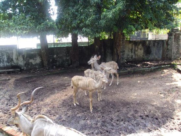 Dehiwala Zoo Trip Packages