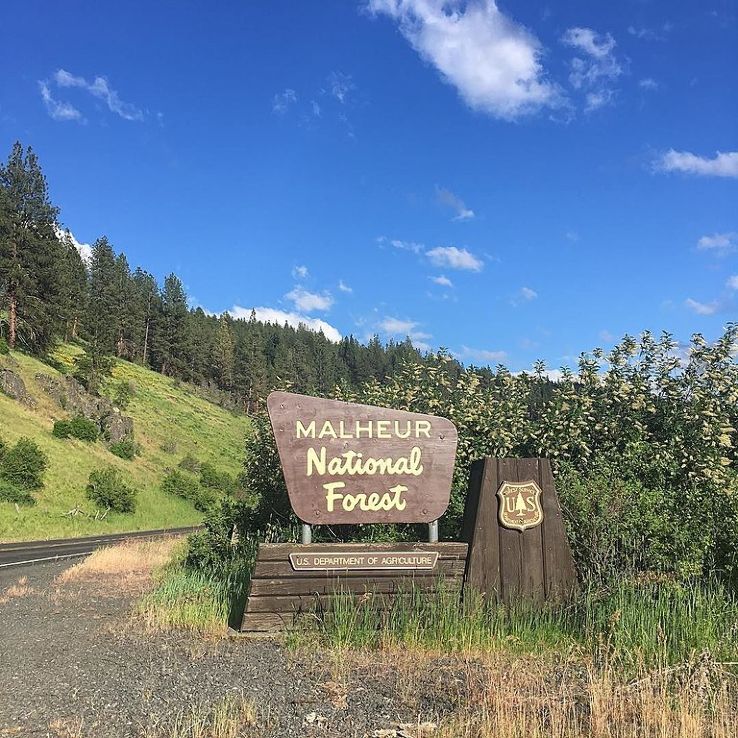 Malheur National Forest Trip Packages