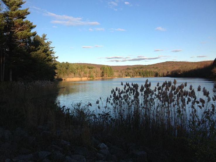 Meshomasic State Forest Trip Packages