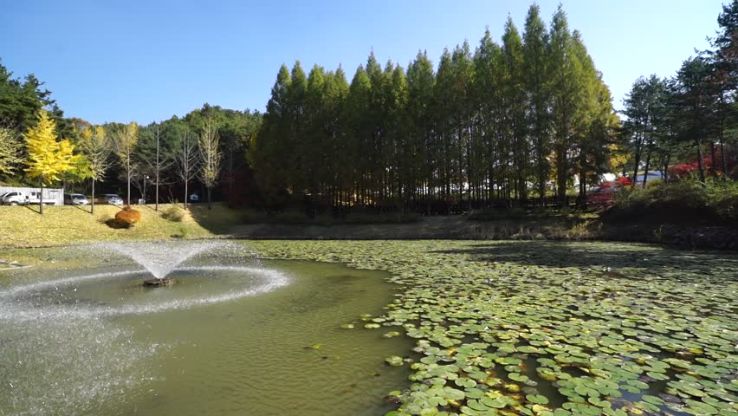 Cheongnamdae Trip Packages