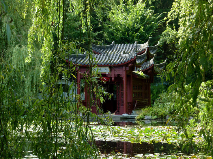 Hortus Haren Trip Packages