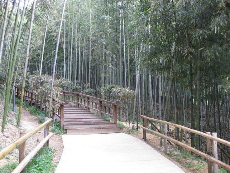 Soswaewon Trip Packages