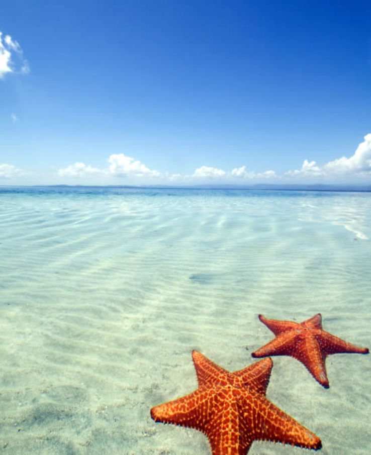 Starfish Beach Trip Packages