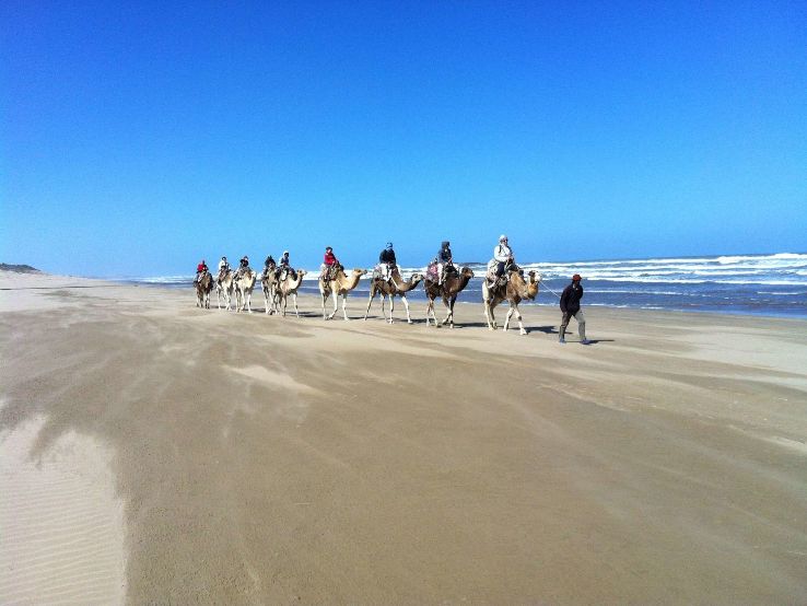 Essaouira Trip Packages