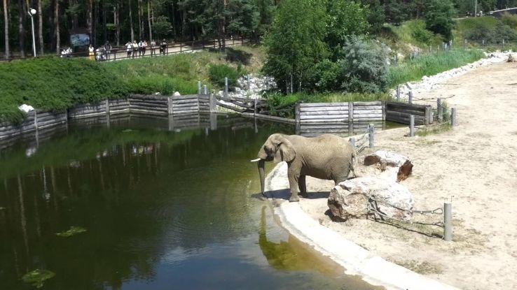 Nowe Zoo Trip Packages