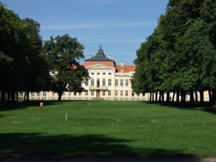 Rogalin Landscape Park Trip Packages