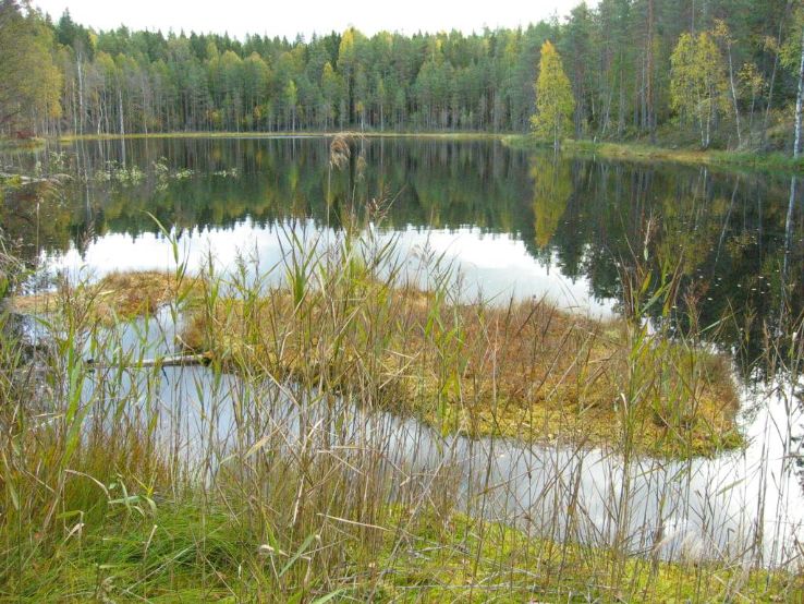 Isojarvi National Park Trip Packages