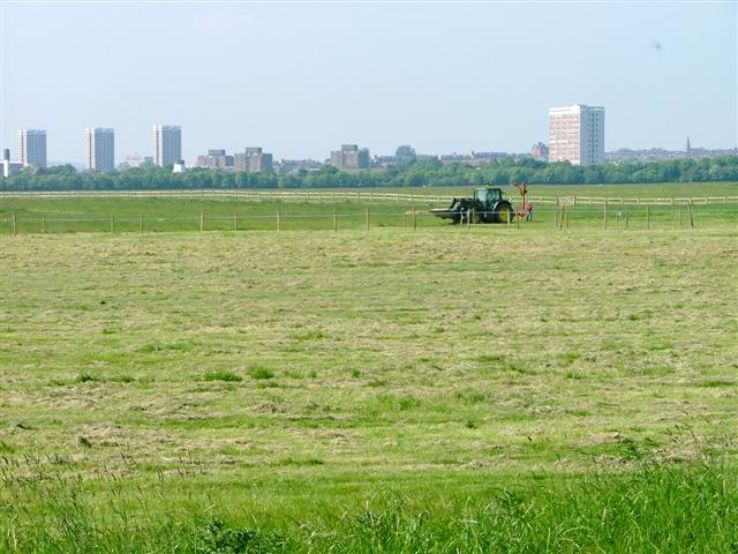 Town Moor Trip Packages