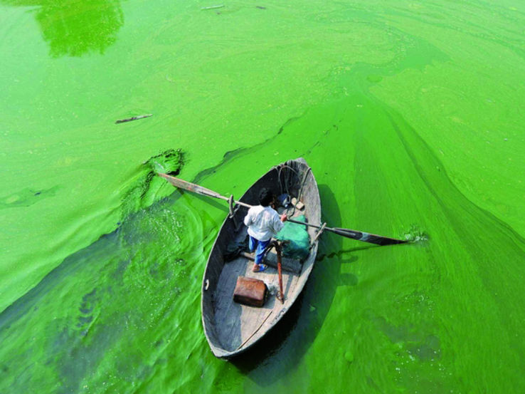 Image result for Chaohu Lake, China=