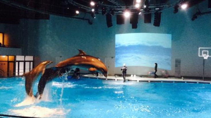 Lithuanian Sea Museum Trip Packages