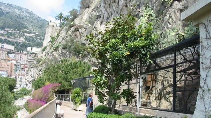 Zoological Garden of Monaco Trip Packages