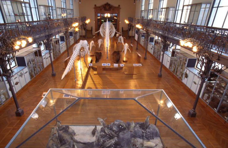 Napoleon Museum Trip Packages