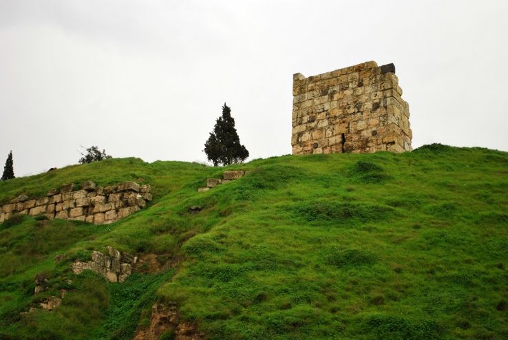 Citadel of Homs Trip Packages