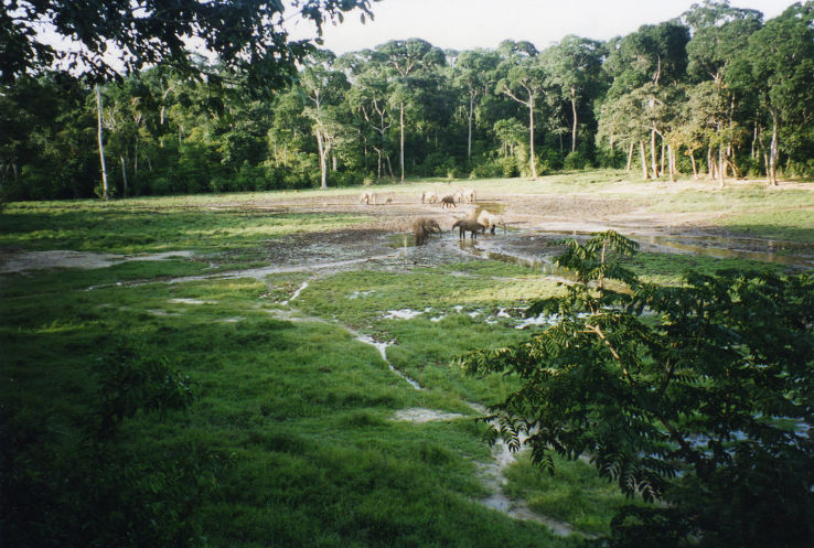 Garamba National Park Trip Packages