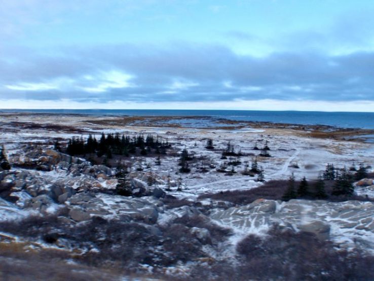 Wapusk National Park Trip Packages