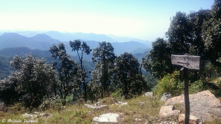Pleasurable 2 Days 1 Night Mussoorie Wildlife Vacation Package