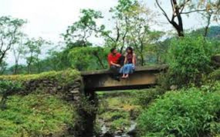 Lower Fagu Tea Estate Trip Packages