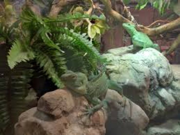 Cattolica Trip Packages