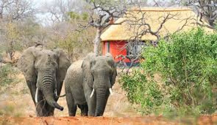Limpopo Trip Packages