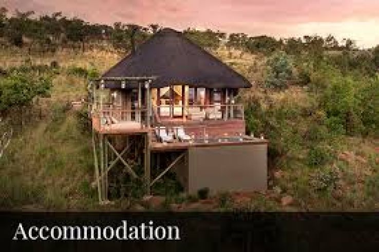 Welgevonden Game Reserve Trip Packages