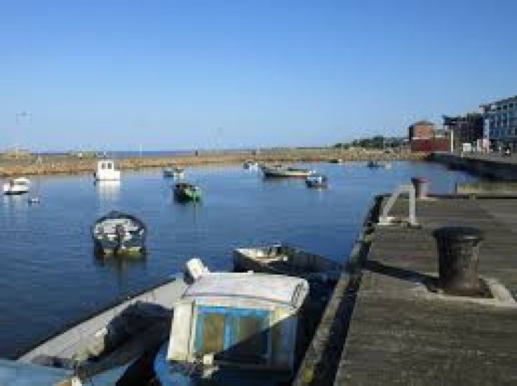 Wexford Harbour Trip Packages