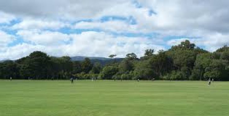 Upper Hutt Trip Packages