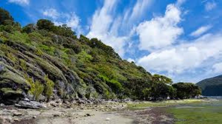 Rakiura Trip Packages