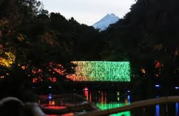 Pukekura Park Trip Packages