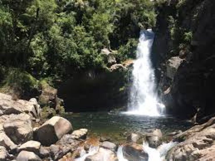 Wainui Falls Trip Packages