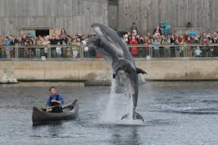 Dolfinarium Trip Packages