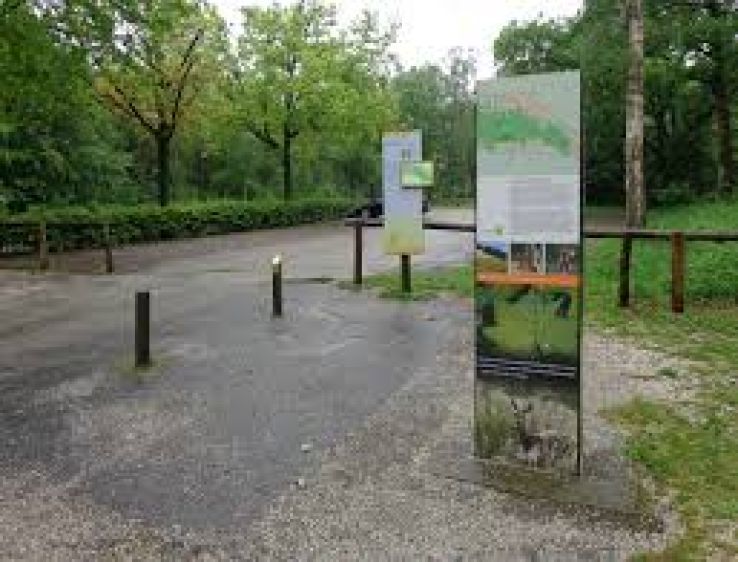 Utrechtse Heuvelrug National Park Trip Packages