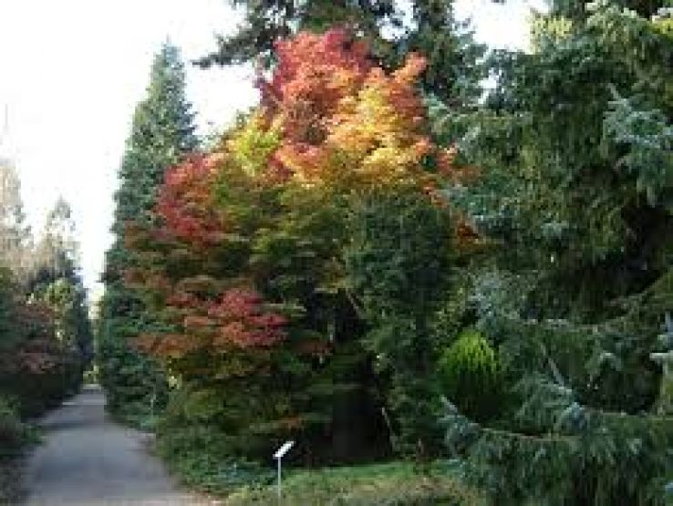 Von Gimborn Arboretum Trip Packages