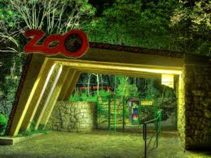 Zoo Trip Packages