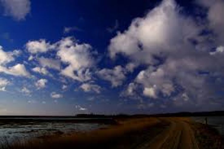 Kalvebod Fælled Trip Packages