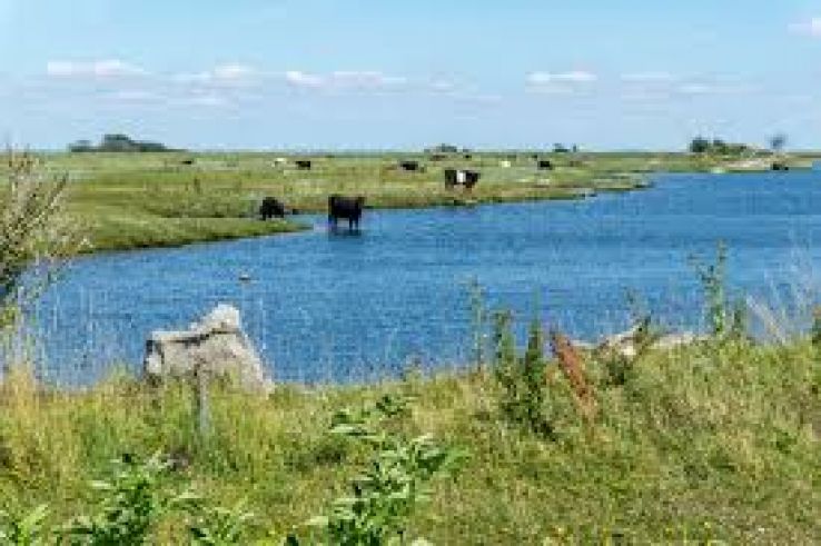 Saltholm Trip Packages