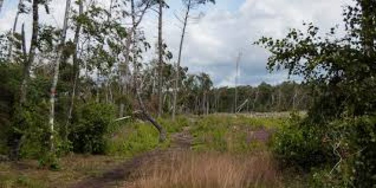 Ljungby Trip Packages