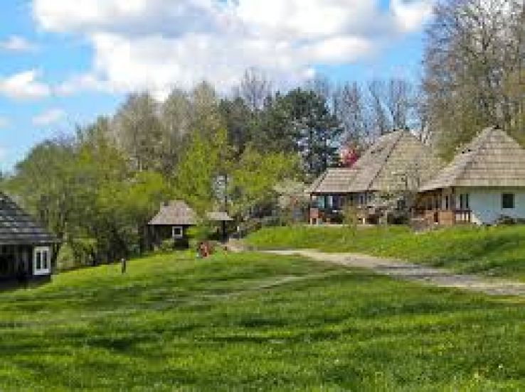 Bukovina Museum Trip Packages