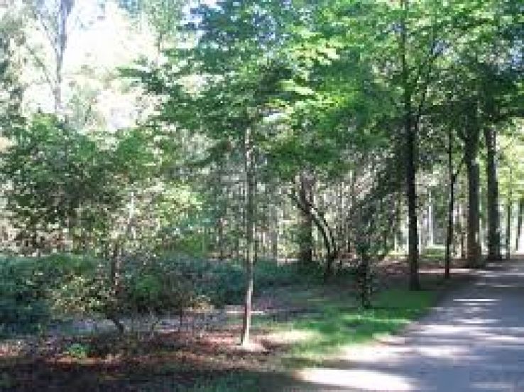 Peerdsbos Trip Packages Peerdsbos Trip Packages
