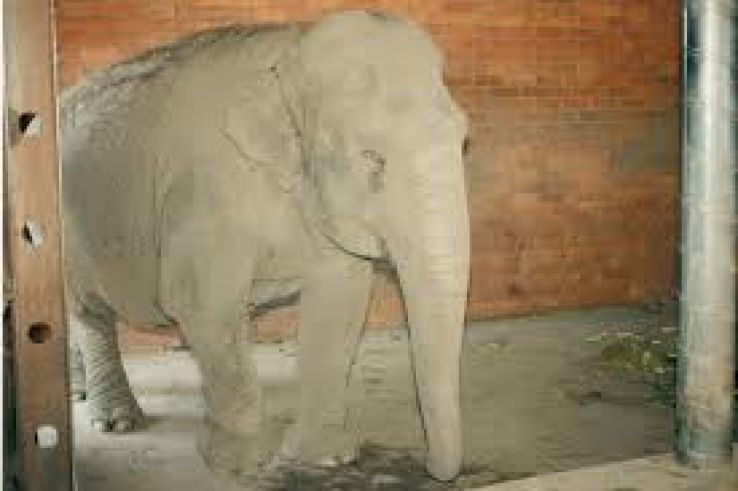 Limburg Zoo Trip Packages