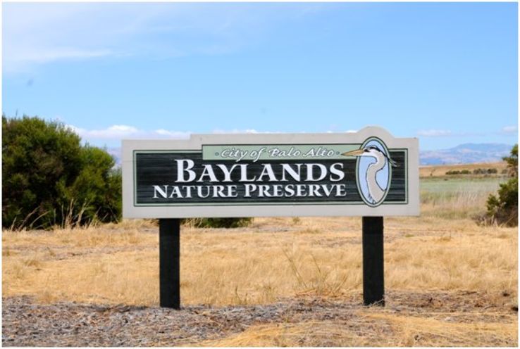 The Palo Alto Baylands Nature Preserves Trip Packages